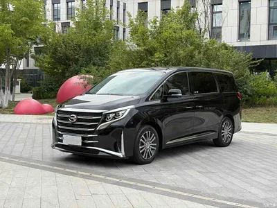 2021 GAC Trumpchi Trumpchi M8 Leading Show Series 390T Ultimate Edition, фото 1, лот 10416004
