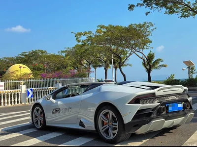 2020 Lamborghini Huracán EVO RWD Spyder, фото 2, лот 10308858