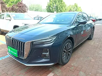 2024 Hongqi H5 2.0T Automatic Smart Connect Flag Leader Edition, фото 1, лот 10305089