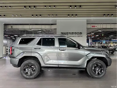 2025 Tank 400 2.0T Gasoline Version, фото 4, лот 10344185