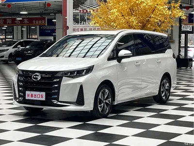 2021 GAC Trumpchi Trumpchi M6 PRO 270T Automatic Luxury Edition, фото 1, лот 11196316