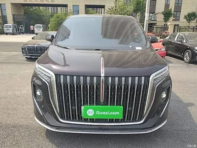 2024 Hongqi HQ9 PHEV Model 2.0T AWD Business Edition, фото 3, лот 10289988