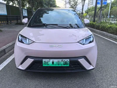 2024 BYD Seagull Glory Edition 305km Freedom Edition, фото 2, лот 10257725