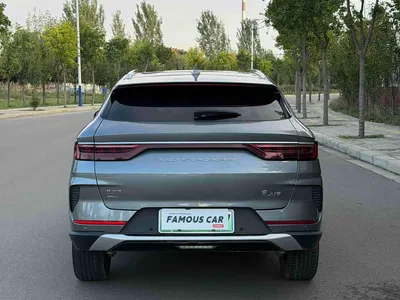 2021 BYD Song PLUS PHEV DM-i 110KM Flagship, фото 4, лот 11553715
