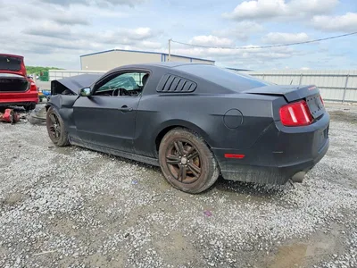 2013 FORD MUSTANG, фото 2, лот 10557369