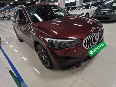 2020 BMW X1 sDrive25Li Leading Model, фото 4, лот 10467830