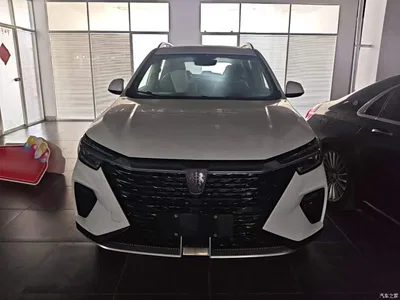 2023 Roewe RX5 PLUS 330TGI Automatic Trend-leading Smart Benefit Edition, фото 3, лот 10341200