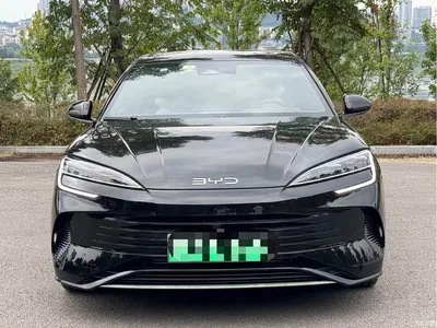 2023 BYD Seal DM-i 1.5T 121km Flagship, фото 2, лот 11214464