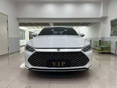 2024 BYD Qin PLUS Glory Edition DM-i 55KM Surpass, фото 2, лот 11198475