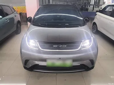 2021 BYD Dolphin 405km Freedom Edition, фото 3, лот 10260226