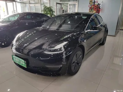 2020 Tesla Model 3 Facelift Long Range Rear-Wheel Drive, фото 2, лот 11461254