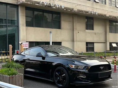 2017 Ford Mustang 2.3T Performance Edition, фото 3, лот 10297373