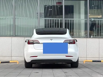 2021 Tesla Model 3 Standard Range Rear-Wheel Drive Upgrade 3D6, фото 2, лот 10368941