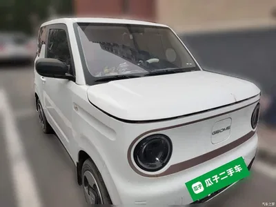 2023 Geely Galaxy Panda Mini 200km Lively Bear, фото 3, лот 10431248