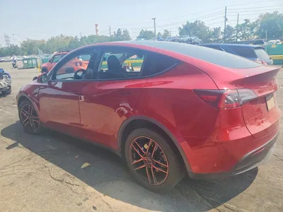 2024 TESLA MODEL Y, фото 2, лот 10853332