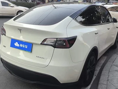 2023 Tesla Model Y Rear-Wheel Drive Edition, фото 3, лот 10517432