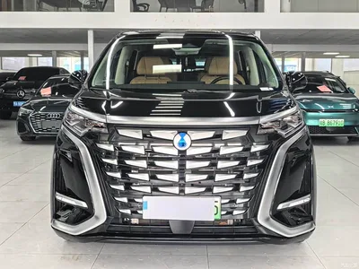 2024 Denza D9 DM-i 1050 Premium, фото 3, лот 10350970
