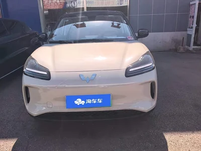 2024 Wuling Motors Wuling Binguo PLUS Model 330km 5-Seater, фото 2, лот 10836425