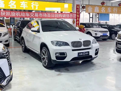2013 BMW X6 xDrive35i, фото 3, лот 10469206