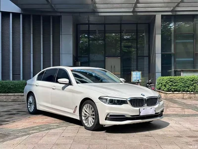 2020 BMW 5 Series 525Li Luxury Package, фото 3, лот 11216830