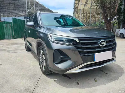 2021 GAC Trumpchi Trumpchi GS4 270T Auto Elite Tech, фото 3, лот 10400183