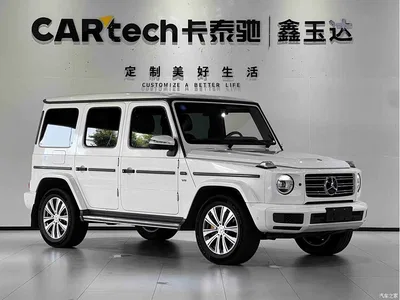 2019 Mercedes-Benz G-Class, фото 3, лот 10898751