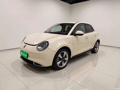 2023 Ora Good Cat 401km Standard Range Comfort LFP, фото 1, лот 10330573