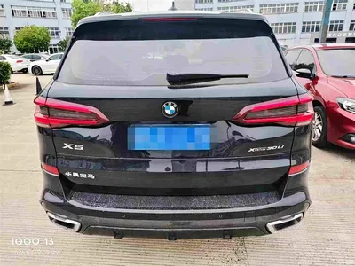 2022 BMW X5 Facelift xDrive 30Li M Sport Package, фото 4, лот 10808125