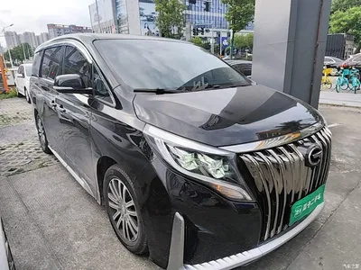 2021 GAC Trumpchi Trumpchi M8 Master Series 390T Prestige Edition, фото 4, лот 11136282