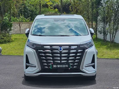 2024 Denza D9 DM-i 980 AWD Prestige, фото 2, лот 10353604