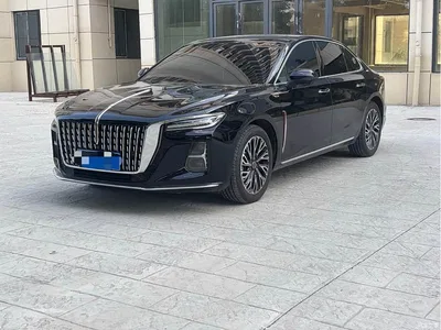 2025 Hongqi H5 2.0T Automatic Flag Celebration 500,000 Units Anniversary Edition, фото 1, лот 10288623