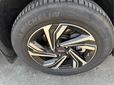 2022 Hongqi HS5 2.0T Smart Connect Premium Edition, фото 4, лот 10288477