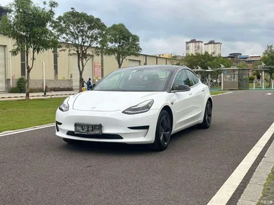2019 Tesla Model 3 Standard Range Rear-Wheel Drive Upgrade, фото 1, лот 10284697