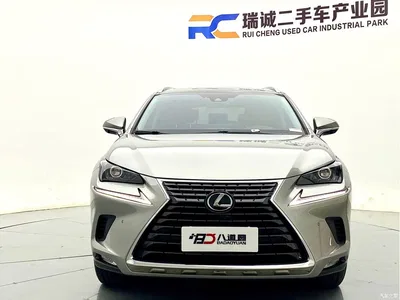 2020 Lexus NX 200 AWD F Sport China VI, фото 2, лот 10318693