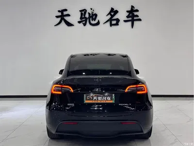 2021 Tesla Model Y Model Long Range AWD, фото 3, лот 11073748