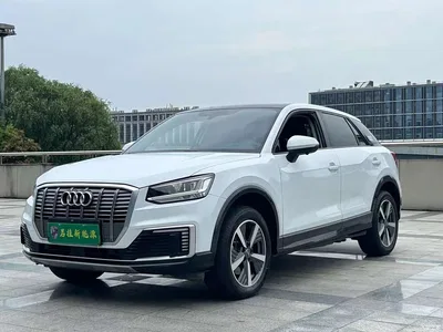 2019 Audi Q2L e-tron Pure Electric Smart Enjoyment, фото 1, лот 10393638