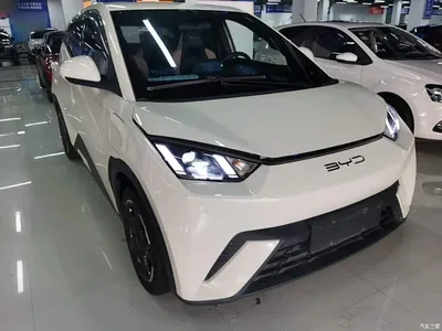 2023 BYD Seagull Flying Edition, фото 4, лот 10260613