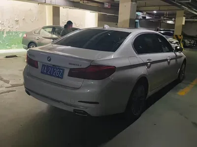 2020 BMW 5 Series 530Li Leading Luxury Package, фото 4, лот 11195511