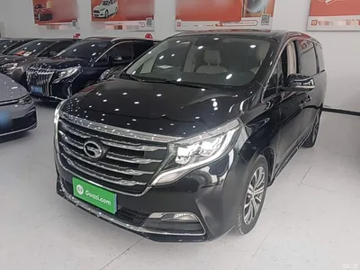 2018 GAC Trumpchi Trumpchi M8 320T Premium Edition, фото 1, лот 10421833