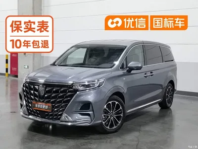 2023 Roewe iMAX8 400TGI Comfort Edition, фото 1, лот 10339470