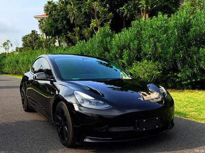 2021 Tesla Model 3 Standard Range Rear-Wheel Drive Upgrade, фото 3, лот 11177692