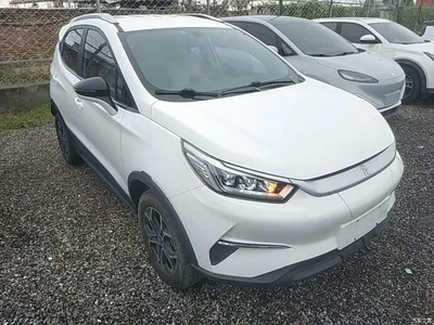 2021 BYD Yuan Pro Lifetime Love Edition, фото 4, лот 10362019