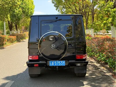 2010 Mercedes-Benz G-Class G 500, фото 4, лот 10620017