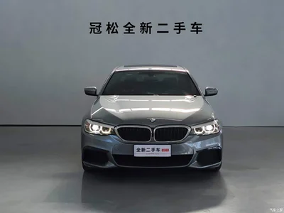2019 BMW 5 Series (Import) Facelift 525i M Sport Package, фото 2, лот 10474293