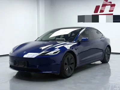 2023 Tesla Model 3 Rear-Wheel Drive, фото 1, лот 10358223