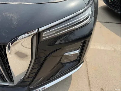 2023 Hongqi H5 2.0T Auto Smart Connect Flag Comfort, фото 4, лот 10288472