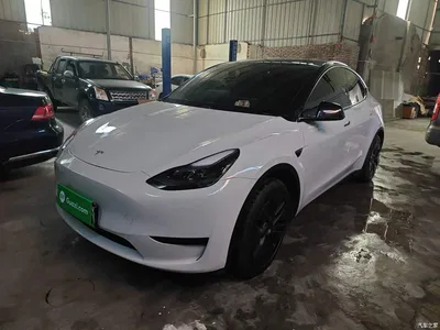 2024 Tesla Model Y Rear-Wheel Drive Version, фото 1, лот 10376957
