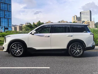 2025 GAC Trumpchi Trumpchi GS8 Pilot Series 2.0TGDI 2WD Luxury Edition 5-seater, фото 3, лот 10414561