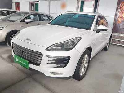 2017 Zotye SR9 2.0T Auto Ultimate Heart Edition, фото 1, лот 10459181