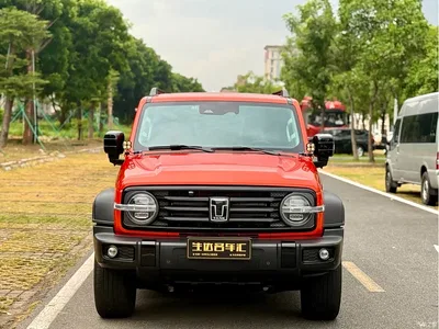 2024 Tank 300 Model 2.0T Challenger, фото 2, лот 10344425